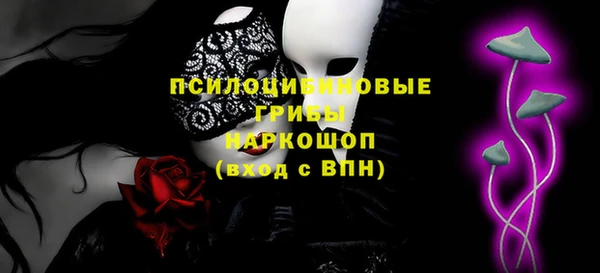 спайс Алексин