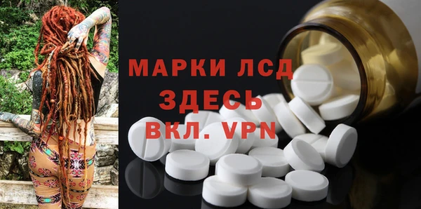 винт Алзамай