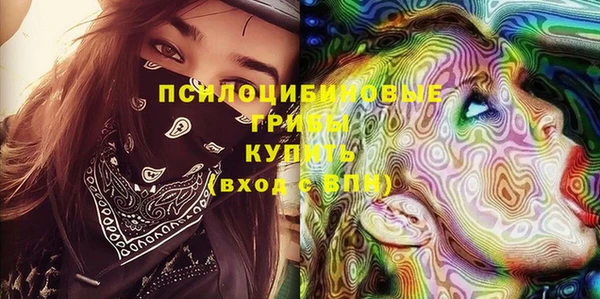 спайс Алексин