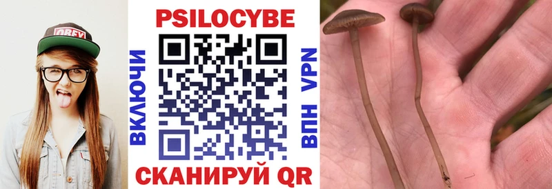 Галлюциногенные грибы Psilocybe  Разумное 